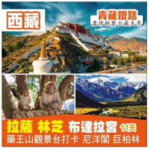 【雪域西藏&bull;低海拔入藏 拉薩 林芝 布達拉宮 藥王山打卡 尼洋閣 】青藏鐵路美景之旅11天