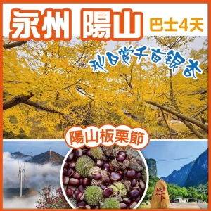 板栗改番薯/淮山 賞千畝銀杏 雲冰山風車雲海 峽天下風景區 探秘鐘乳石奇觀燕窩洞 巴士純玩4天