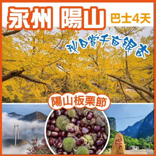 陽山板栗節 初秋賞千畝銀杏 雲冰山風車雲海 峽天下風景區 探秘鐘乳石奇觀燕窩洞 巴士純玩4天